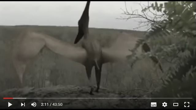 パプアニューギニアの翼竜：ロペン