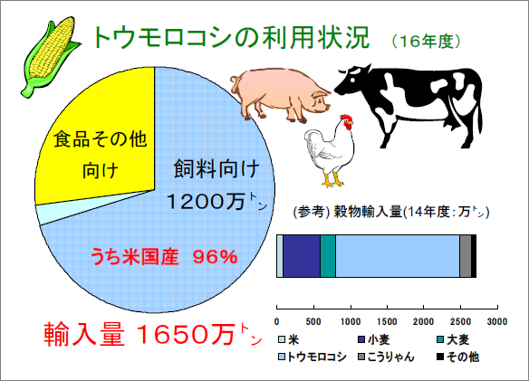 トウモロコシの輸入量と利用状況